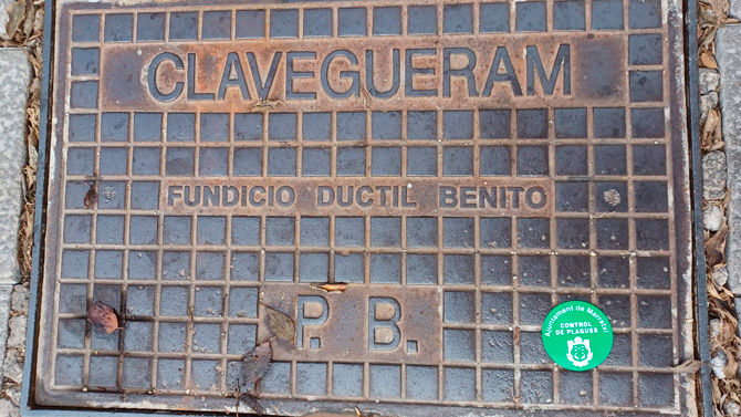 [Img #60682]