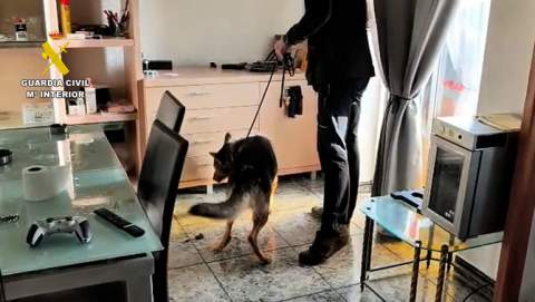 Detenidas tres personas por secuestrar y agredir a un joven en Ejea de los Caballeros (Zaragoza)