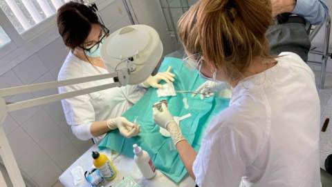 Salut preveu la incorporació de 1.304 professionals entre infermeres i tècnics en cures auxiliars d’infermeria per a les substitucions d’estiu