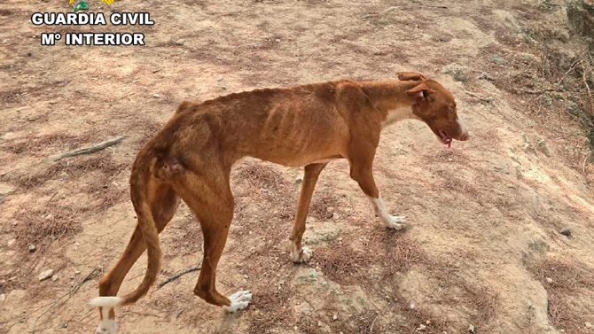 [Img #73104]