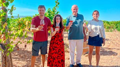 Els cellers de Vi de la Terra Mallorca ja han recollit  1.582.915 quilos de raïm