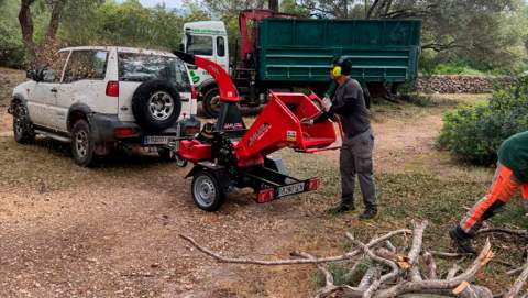 Marratxí saneja els bosquets d’Es Garrovers i Sant Marçal per prevenir incendis i recuperar espais per l’esbarjo veïnal