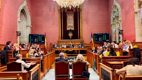 El PP de Mallorca aconsegueix l’aprovació per unanimitat de la seva moció per reclamar la devolució dels Bous de Costitx