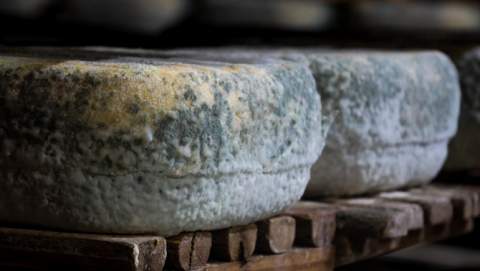 L'Ajuntament de Santanyí i la Conselleria d'Agricultura  Visiten la Fàbrica de Formatges Grimalt