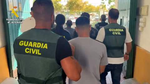 Recuperados en Sevilla ocho galgos de competición que habían sido robados y maltratados