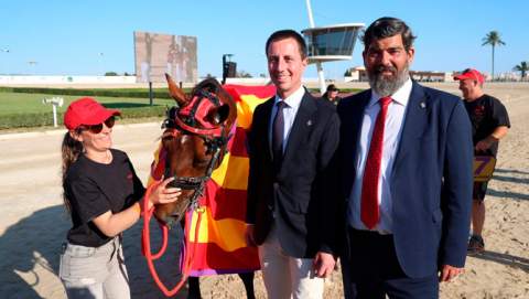 La reforma integral de la pista de competició de Son Pardo després de 25 anys d'antiguitat, projecte destacat de l’Institut de l’Esport Hípic del Consell de Mallorca el 2026